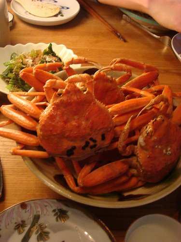 Southern tanner crabs