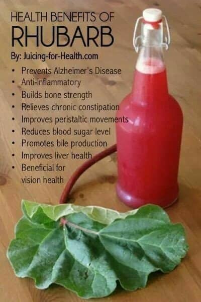 Did you know that rhubarb is better than simply tasty? It has several important health benefits, especially for your gut health and regular function. Bone strength, brain health, and a tonic action are also included.