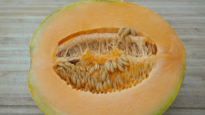 Did you know that cantaloupe seeds are edible? When dry roasted, they make a popular snack in many parts of the world.