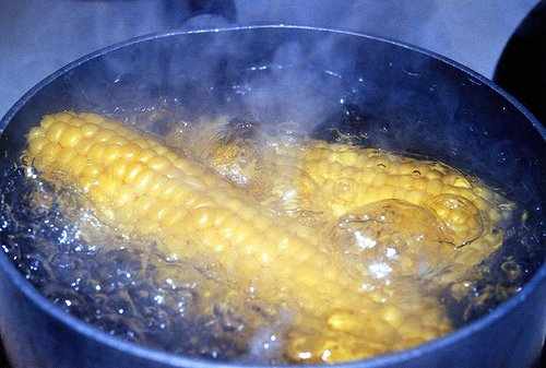 boiled corn ears