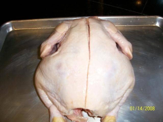 The backbone cut: the initial cut down the side of the backbone that will expose the material to remove.