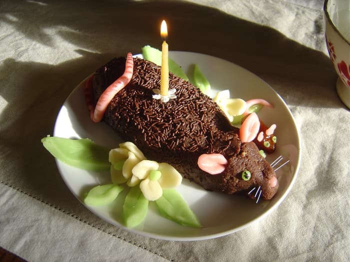 You can go to town with the presentation. Here I just quickly made a few leaves and flowers.