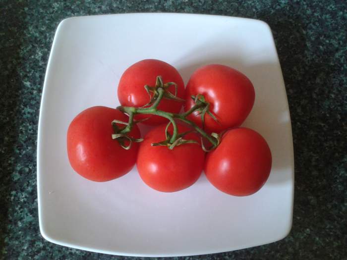 You can use fresh or tinned tomatoes in this recipe.