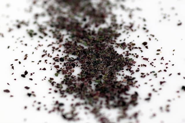 You can easily find dulse in most health food stores.