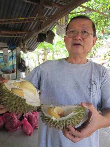 Now have a look first