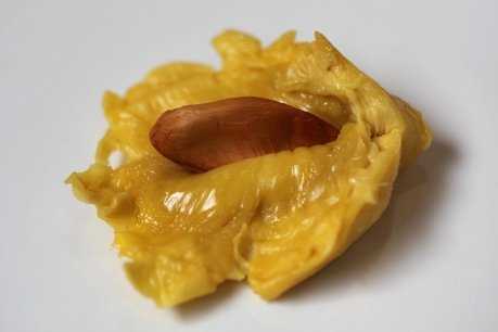 Excellent durian pulp with small seed