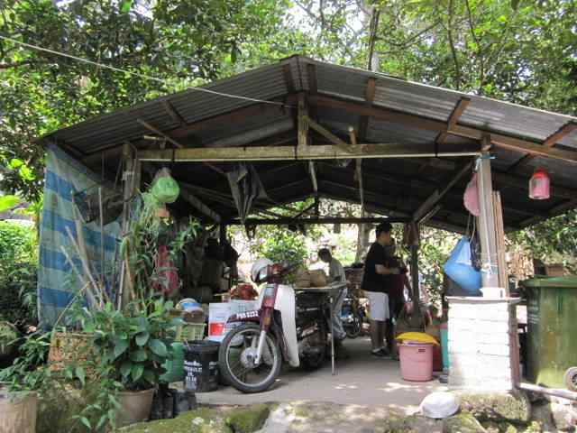 The hidden secret durian shed in the farm high up in the mountain
