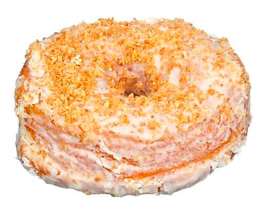 Sweet treat topped with toasted coconut.