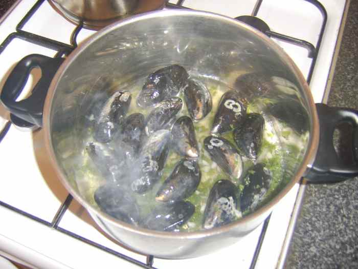 How to Collect, Clean and Cook Fresh Mussels Delishably