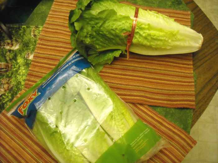 PrePackaged Produce Fresh Foods Get a "Bad Wrap" for Sustainability