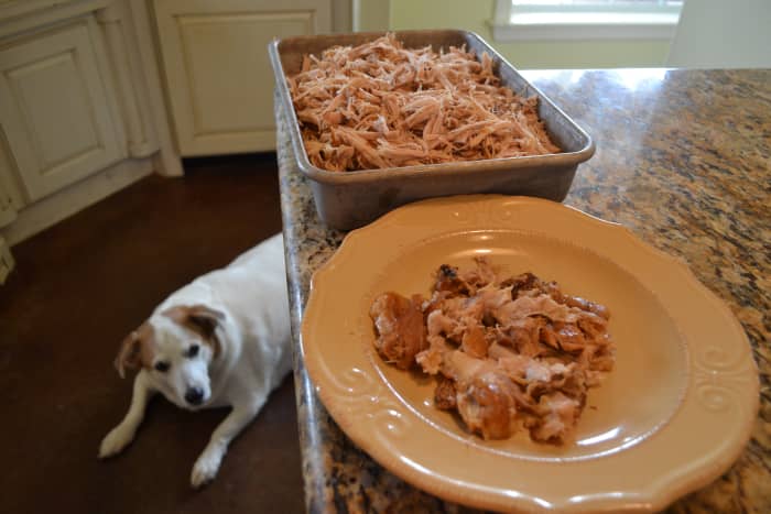 Puppy hopes for a bite to fall! As you can see by the small amount of fat and skin on the plate, pork loin is very lean. The meat might seem dry, but sauce and broth will take care of any dryness.