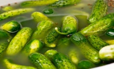 The electrolytes in the pickle juice come from the cucumber, salt, and the fermentation process. Pickles also have magnesium and potassium.