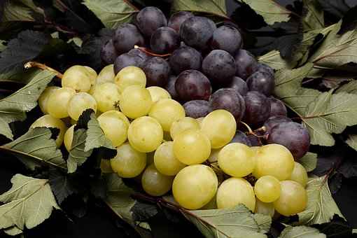 Luscious grapes