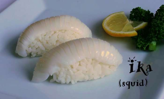 Ika (squid) nigiri