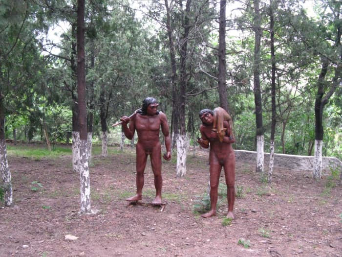Can you imagine a caveman being overweight and sleep-deprived? In fact, the average Homo Sapiens was muscular agile, athletic, and very versatile.