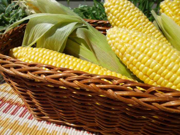 Hot Corn Dip Recipe From Chef Emeril Lagasse Delishably