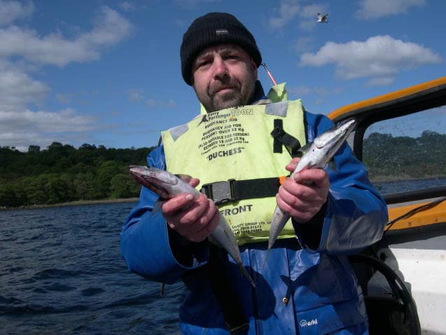 These two mackerel were taken from the sea and humanely dispatched mere seconds before this picture was taken