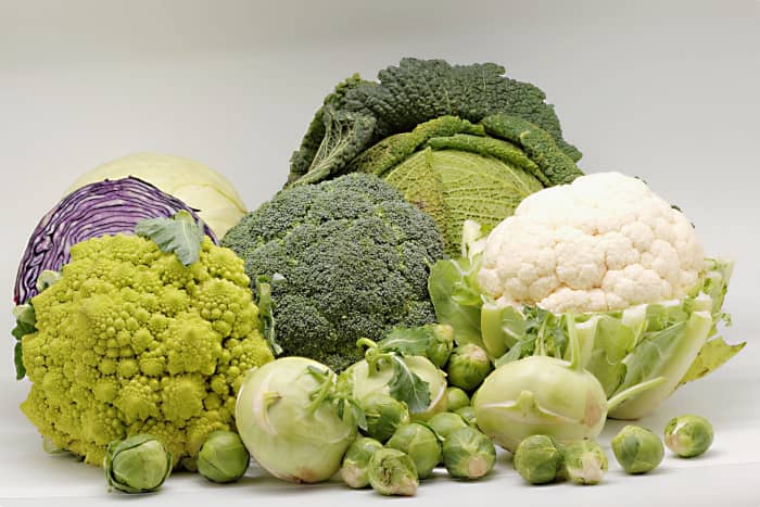 A healthy and nutritious collection of vegetables