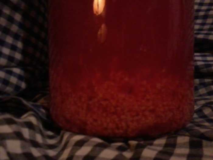 How to Make Raspberry Wine Delishably