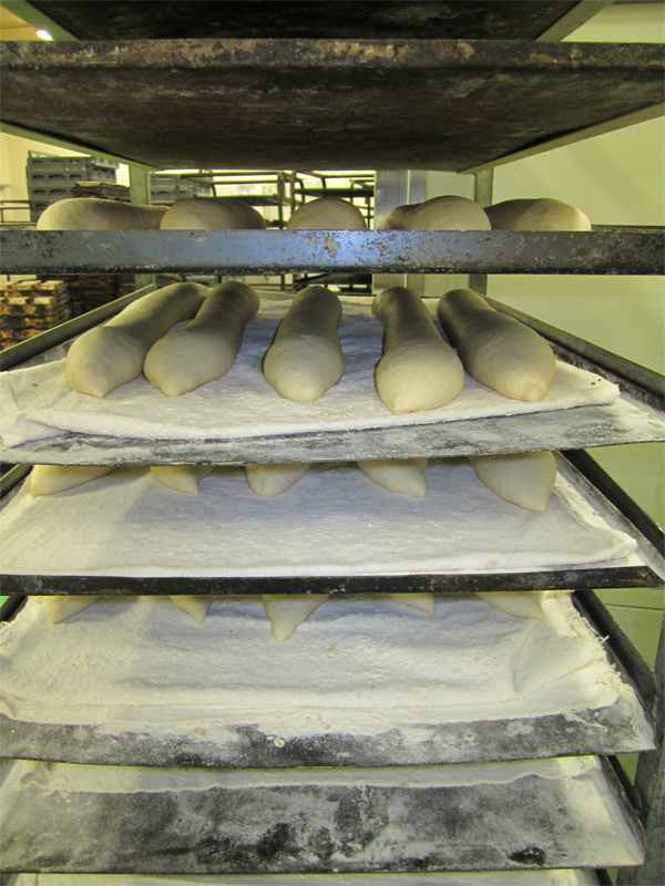 Baguettes ready for slashing and baking. 