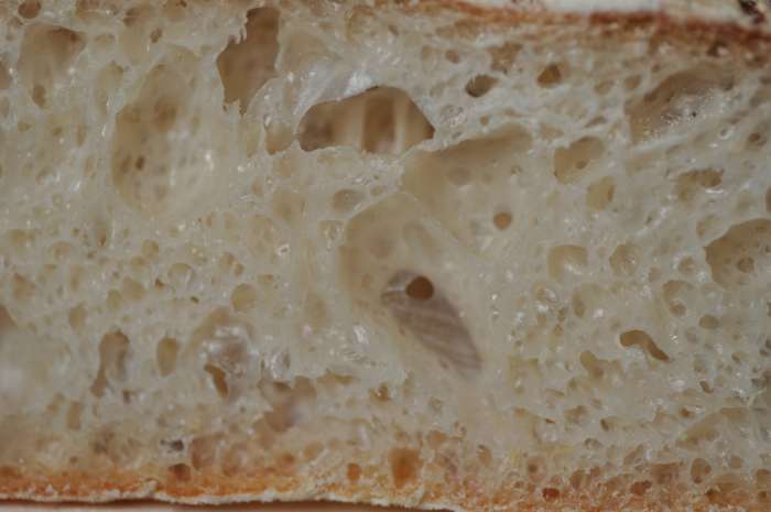 Close view of the crumb of a ciabatta loaf. Image: © Siu Ling Hui