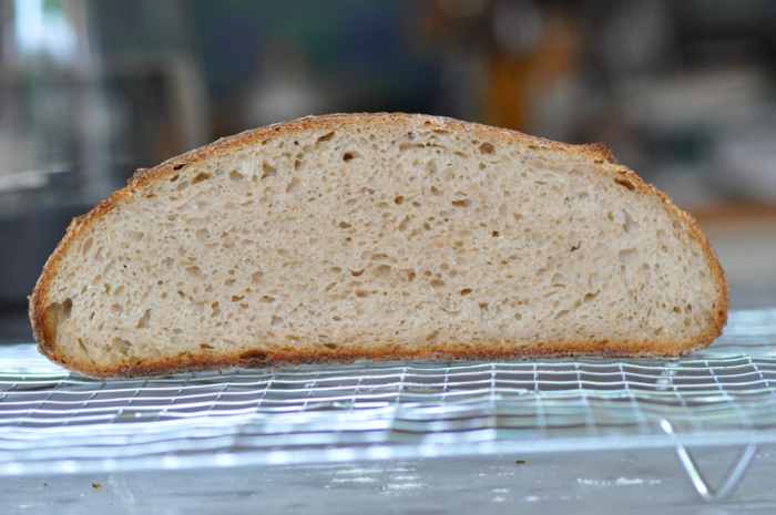 Cut section of barley flour sourdough loaf. Image: © Siu Ling Hui