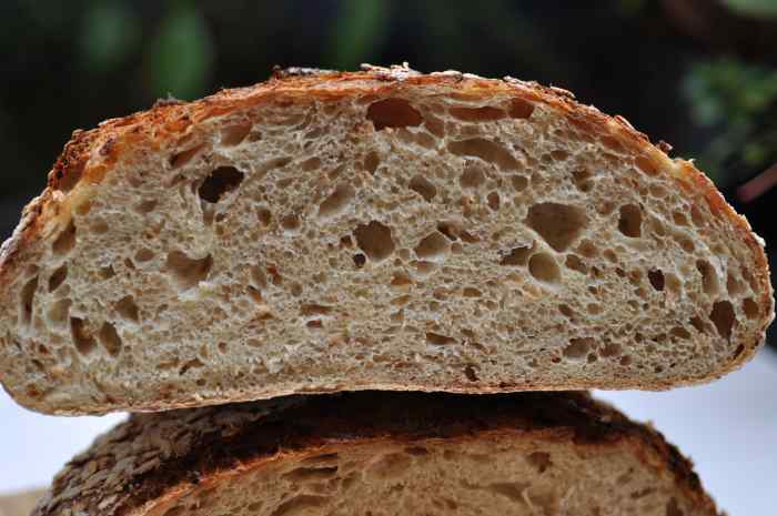 Crumb of Oat Porridge Bread Image: © Siu Ling Hui