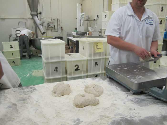 Dough portions ready for shaping. 