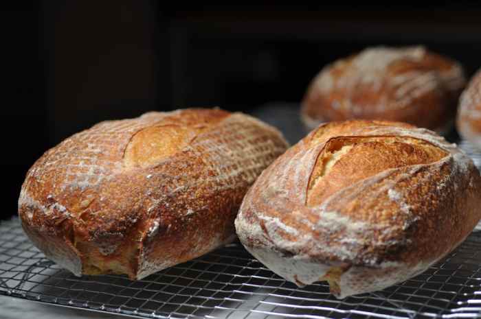 Pane Sardegna 80% semola rimacinata, 70% hydration. Image: © Siu Ling Hui