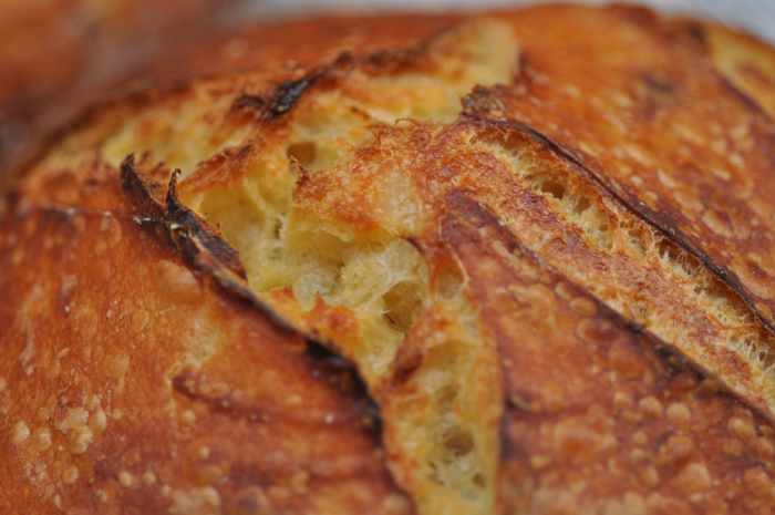 Close up of crust of salt fermented 100% semola at 70% hydration. Image: © Siu Ling Hui