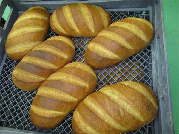 Campagnard loaves on delivery trays. 
