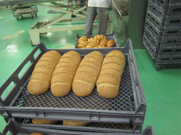 Seeded grain elongs on delivery trays. 