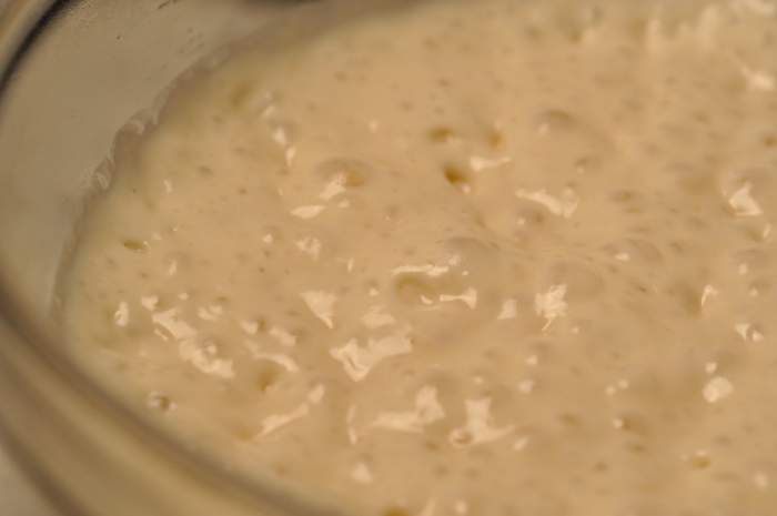 Ripe bubbly poolish used as part of leavening. Image: © Siu Ling Hui