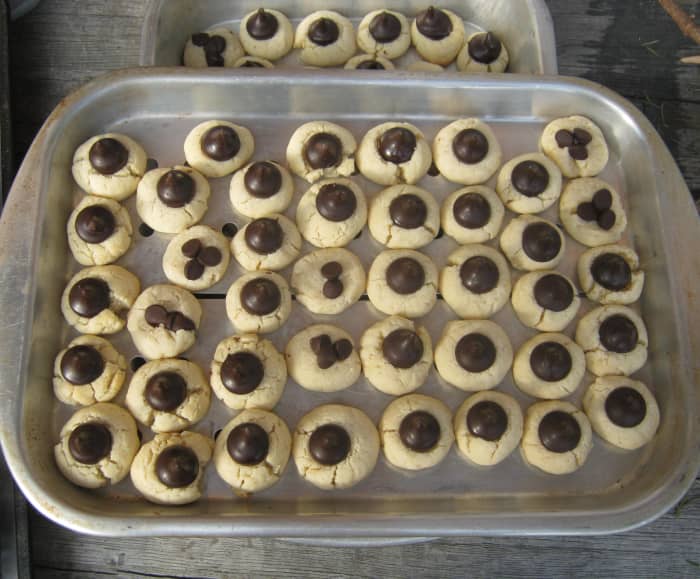 Chocolate Drop Cookies are always a favorite. Simply press a chocolate kiss into the center of a rolled Spritz cookie and bake! Easy and delicious!