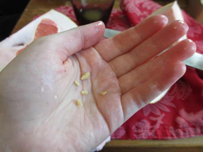 What Does a Pomelo Fruit Taste Like? Delishably