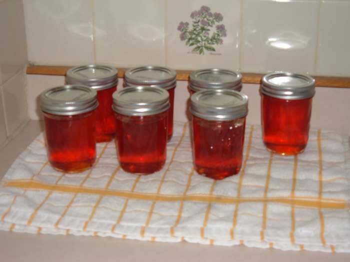 How to Make Nasturtium Jelly From Scratch Delishably