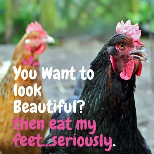 is-there-any-benefits-in-eating-chicken-feet