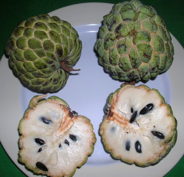 The World’s Weirdest and Most Exotic Fruits - Delishably