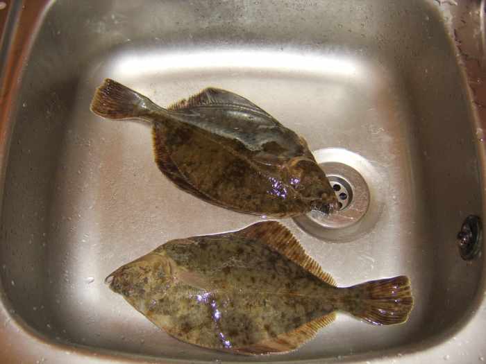 How to Cook Flounder (With Recipes) Delishably