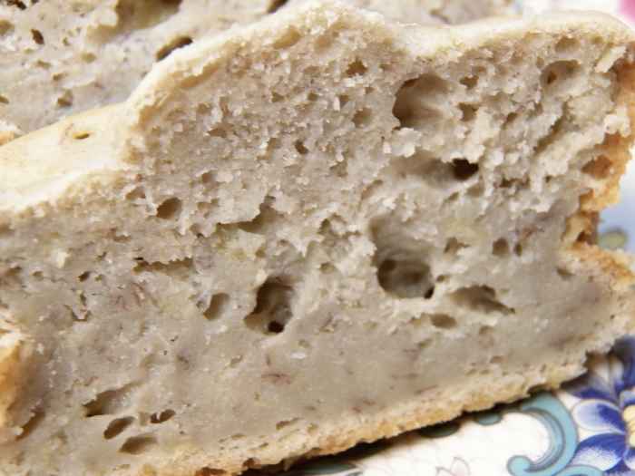 Sugar Free, Fat Free Banana Bread Slice. You can see it is dense, especially at the bottom. However it was very moist and tasted a lot like my full fat, full sugar recipe.