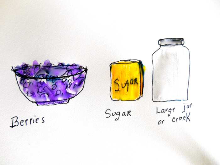 The Best Homemade Blackberry Brandy Recipe Delishably