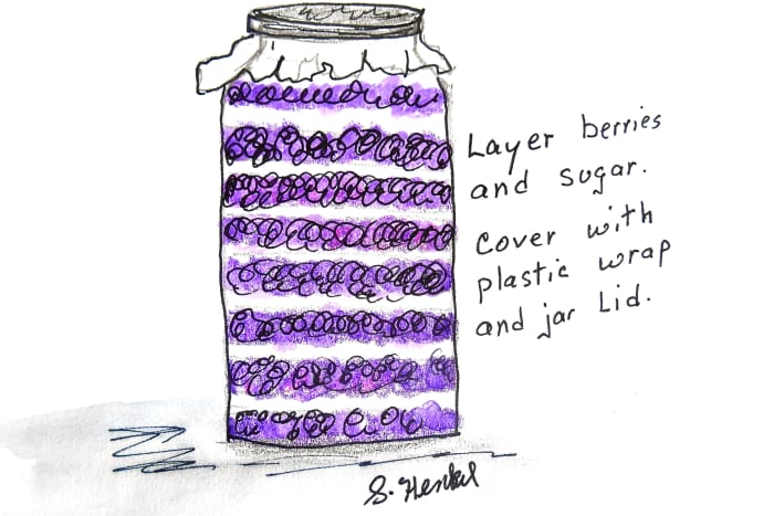Layer blackberries and sugar in a large glass jar or crock. Cover with plastic wrap. Lay the lid loosely on top and store in dark place.