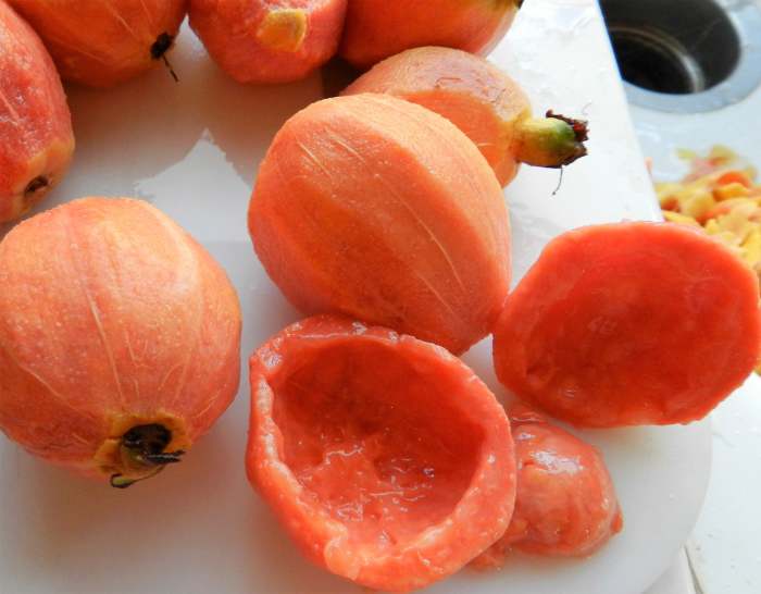 How to Make Fresh Pink Guava Nectar Delishably