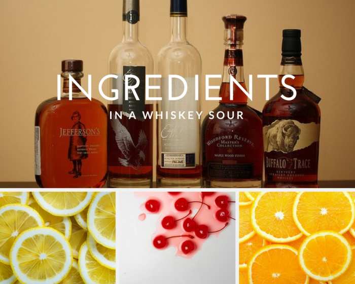 The Best Bourbon Whiskey Sour Recipe Delishably