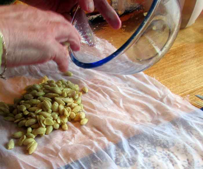 Place the pips from the fruit onto the cloth