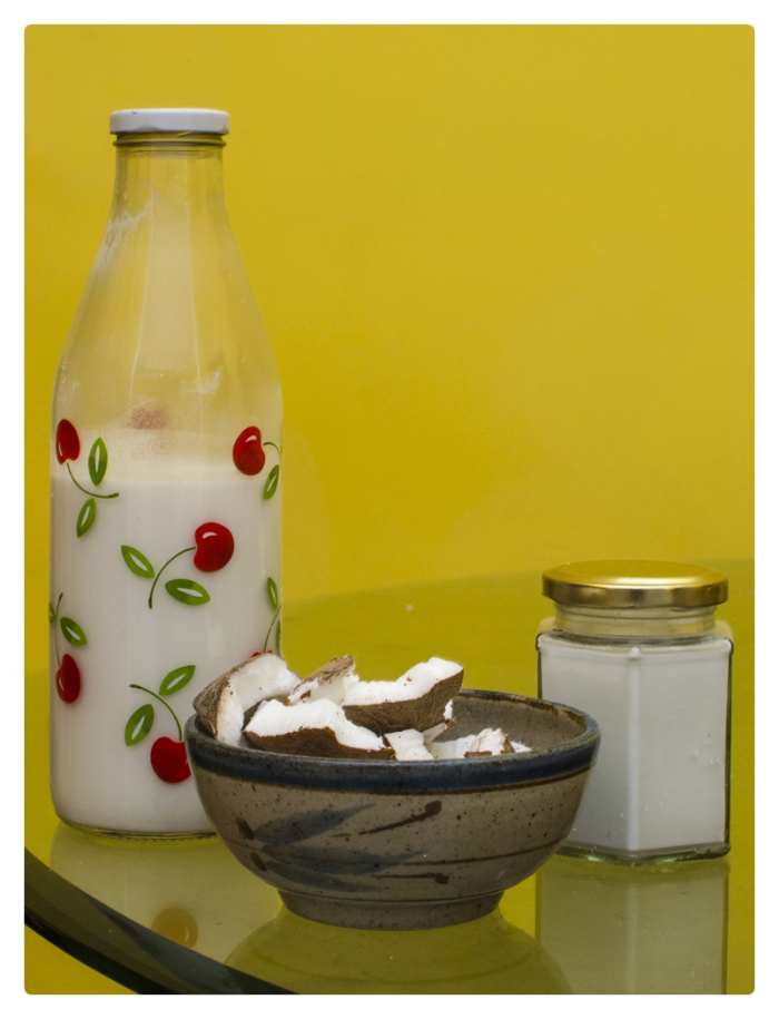 How to Make Coconut Milk at Home HubPages