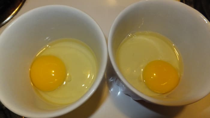 The golden color of the fresh egg on the left is ever so slightly brighter than the supermarket egg the right. Nearly identical.