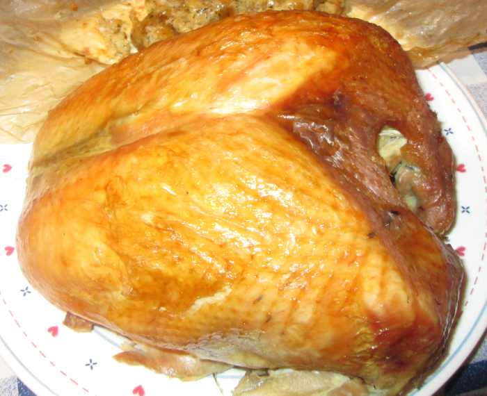 A cooked roast turkey breast