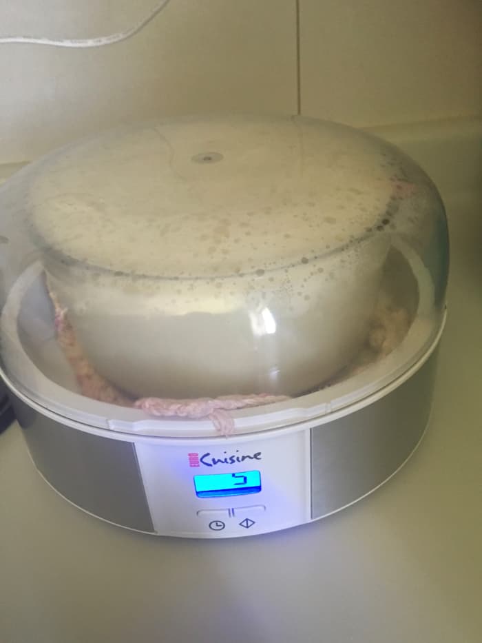 You can also use the Pyrex 7 cup glass storage container for making yogurt instead of the 7 glass jars that come with the Euro Cuisine yogurt maker. I find it easier, although I enjoy eating yogurt out of the little jars, too.