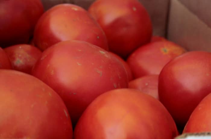How cheap seconds will be depends on when you buy them and how well local tomatoes are producing.